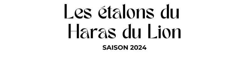 Photo Les étalons du Haras du Lion - Saison 2024