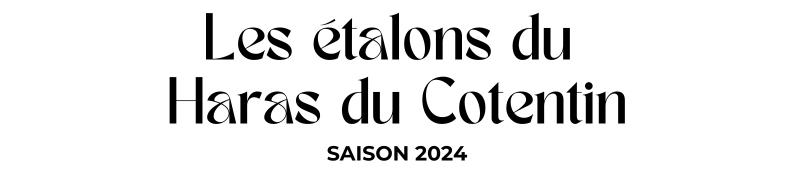 Photo Les étalons du Haras du Cotentin - Saison 2024