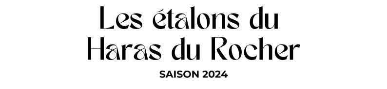 Photo Les étalons du Haras du Rocher - Saison 2024