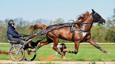 Photo DÉSIR CASTELETS : premier gagnant ce week-end !