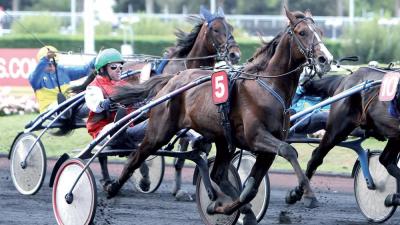 Photo VIVALDO BELLO : 4 gagnants et 3 placés depuis le début du mois !