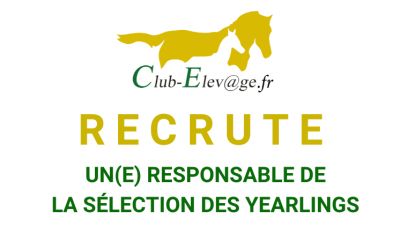 Photo OFFRE D'EMPLOI : Un(e) responsable de la sélection des yearlings