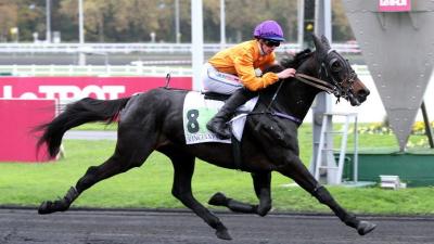 Photo CANADIEN D'AM : 1 gagnant de groupe 2 ce week-end à Vincennes !