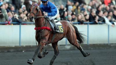 Photo SCIPION DU GOUTIER : 11 gagnants et 8 placés en avril !