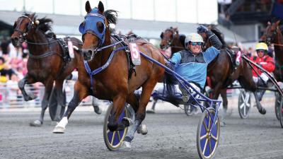 Photo TIMOKO : 13 gagnants et 27 placés en avril !