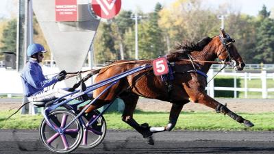 Photo EASY DES RACQUES : 2 gagnants et 8 placés en avril !