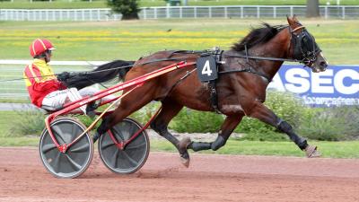 Photo Victoire en catégorie C pour Knockonwood