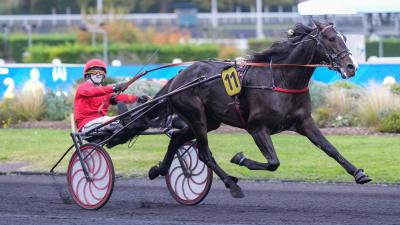 Photo Karnac Wood s'illustre avec une victoire en catégorie D