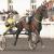 Photo Un placé pour Inherit dans le Grand Prix de La Gacilly