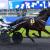Photo Deuxième place pour Milady of Paris dans le Prix Tendance Ouest