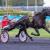 Photo Karnac Wood brille en groupe III : un placé pour l'étalon