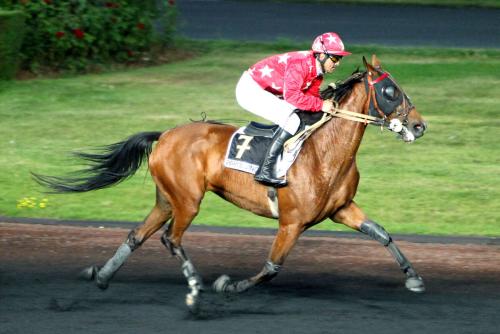 Pouliniere UNIGIRL DE CHENU