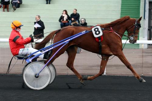 Pouliniere BONNIE CADENCE