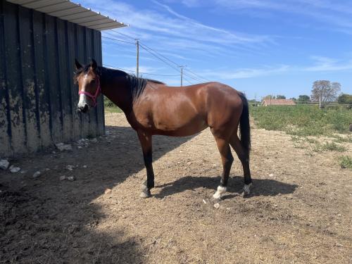 Pouliniere LA COSA NOSTRA