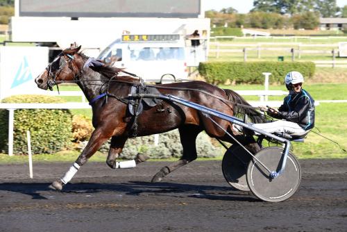 Pouliniere BLACK RAIN