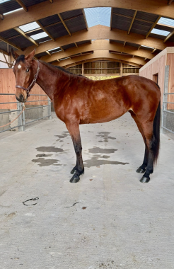 Pouliniere NON E DIFFICILE