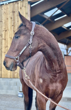 Pouliniere NON E DIFFICILE