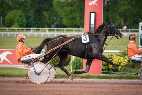 Pouliniere HAITIAN FIGHT SONG