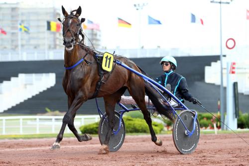 Pouliniere BAD COMPANY