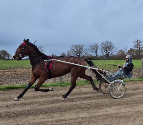 Pouliniere LOLITA DE JEMAX