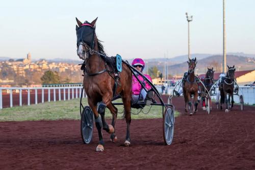 Pouliniere LOLITA DE JEMAX