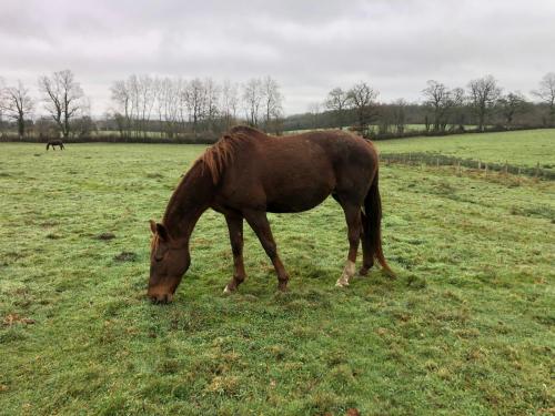 Pouliniere URFA MESLOISE