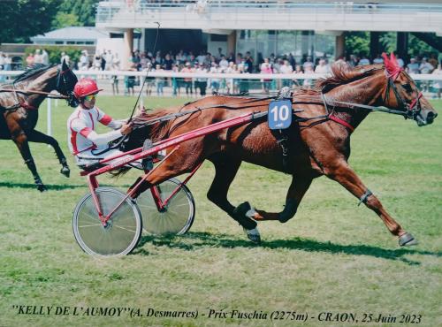 Pouliniere KELLY DE L'AUMOY