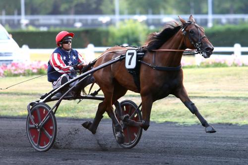 Pouliniere EVOLUTION