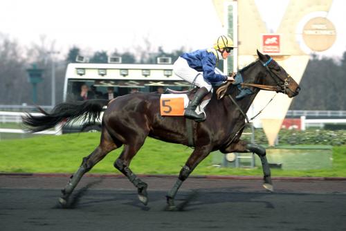 Pouliniere REINE DU COGLAIS