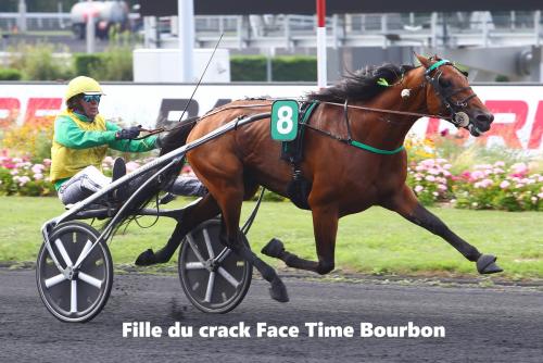 Pouliniere LIZENN SEVEN