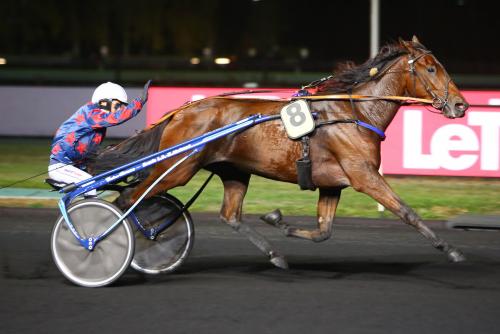 Pouliniere ELENA DE PIENCOURT