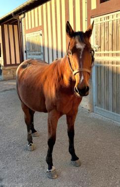 Pouliniere JULIA GEORGE