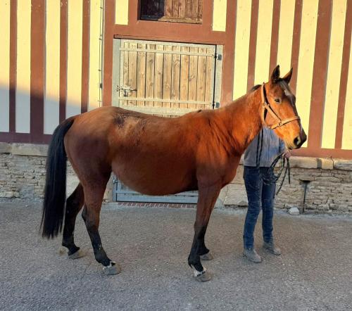 Pouliniere JULIA GEORGE