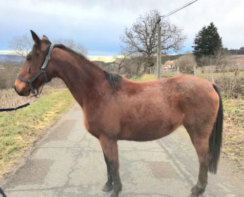 Pouliniere CRISTALLIA