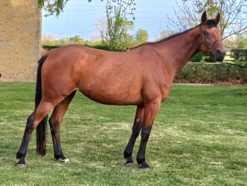 Pouliniere Jade De Blary