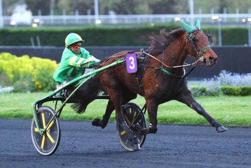 Pouliniere LAVANDE DE ROCHE