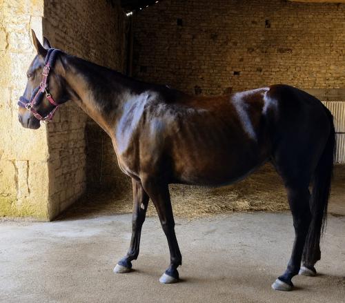 Pouliniere EBONY
