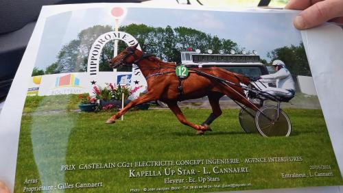 Pouliniere KAPELLA UP STAR