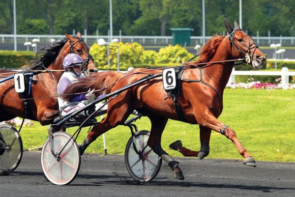 Photo Trois victoires et un placé pour les produits de Boccador de Simm cette semaine