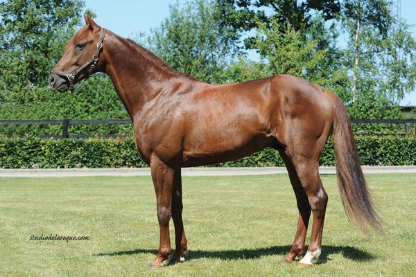 Photo 6 victoires et 4 placés pour les produits de BOOSTER WINNER