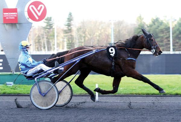 Photo 1 victoire et 1 placé pour les produits de CAPTAIN SPARROW