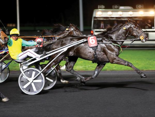 Photo 2 victoires et 1 placé pour les produits de FOLLOW YOU cette semaine !