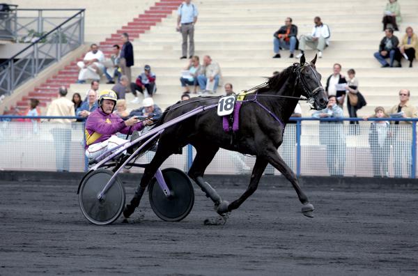 Photo 1 victoire et 2 placés pour les produits de NI HO PED D'OMBREE