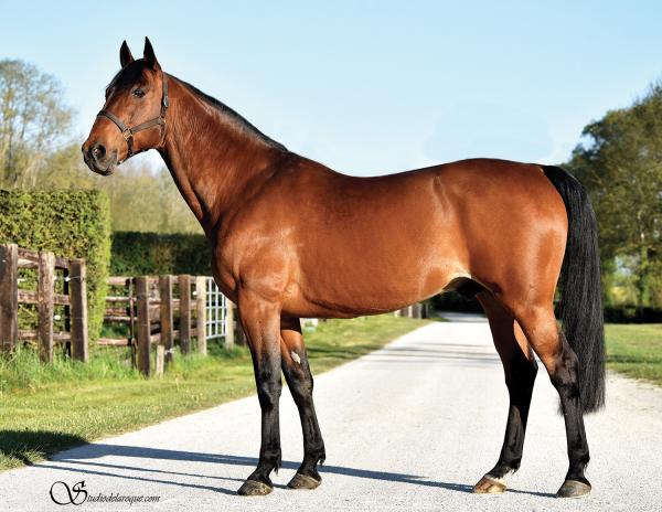 Photo Un placé pour les produits de QUAKER JET