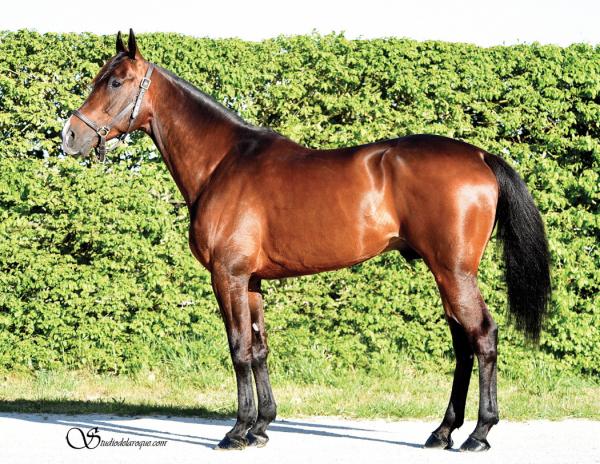 Photo 4 victoires et 1 placé pour les produits d'EXPRESS JET