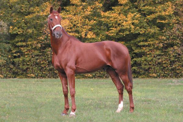 Photo PRINCE GEDE, ses produits se font remarquer à Vincennes