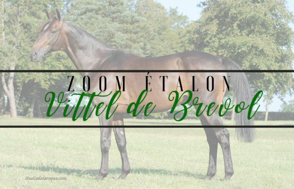 Photo Zoom Etalon : VITTEL DE BREVOL