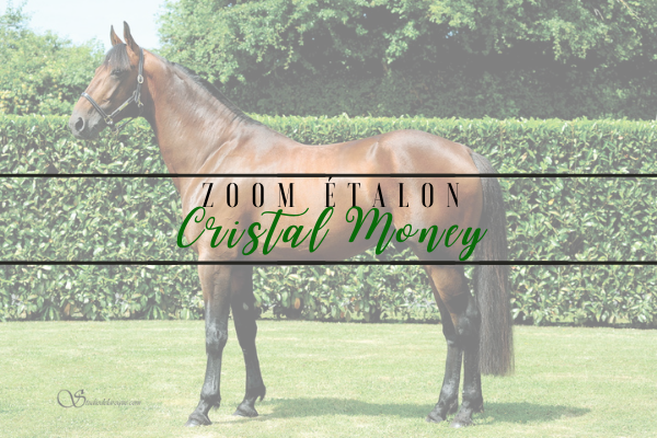 Photo Zoom Etalon : CRISTAL MONEY