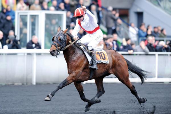 Photo SINGALO : 5 vainqueurs et 1 placé