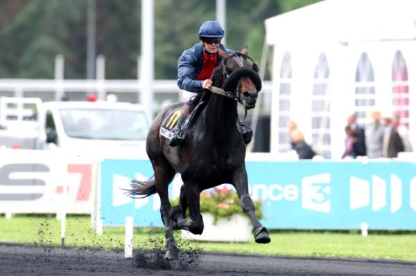 Photo TEXAS CHARM : 4 vainqueurs et 3 placés